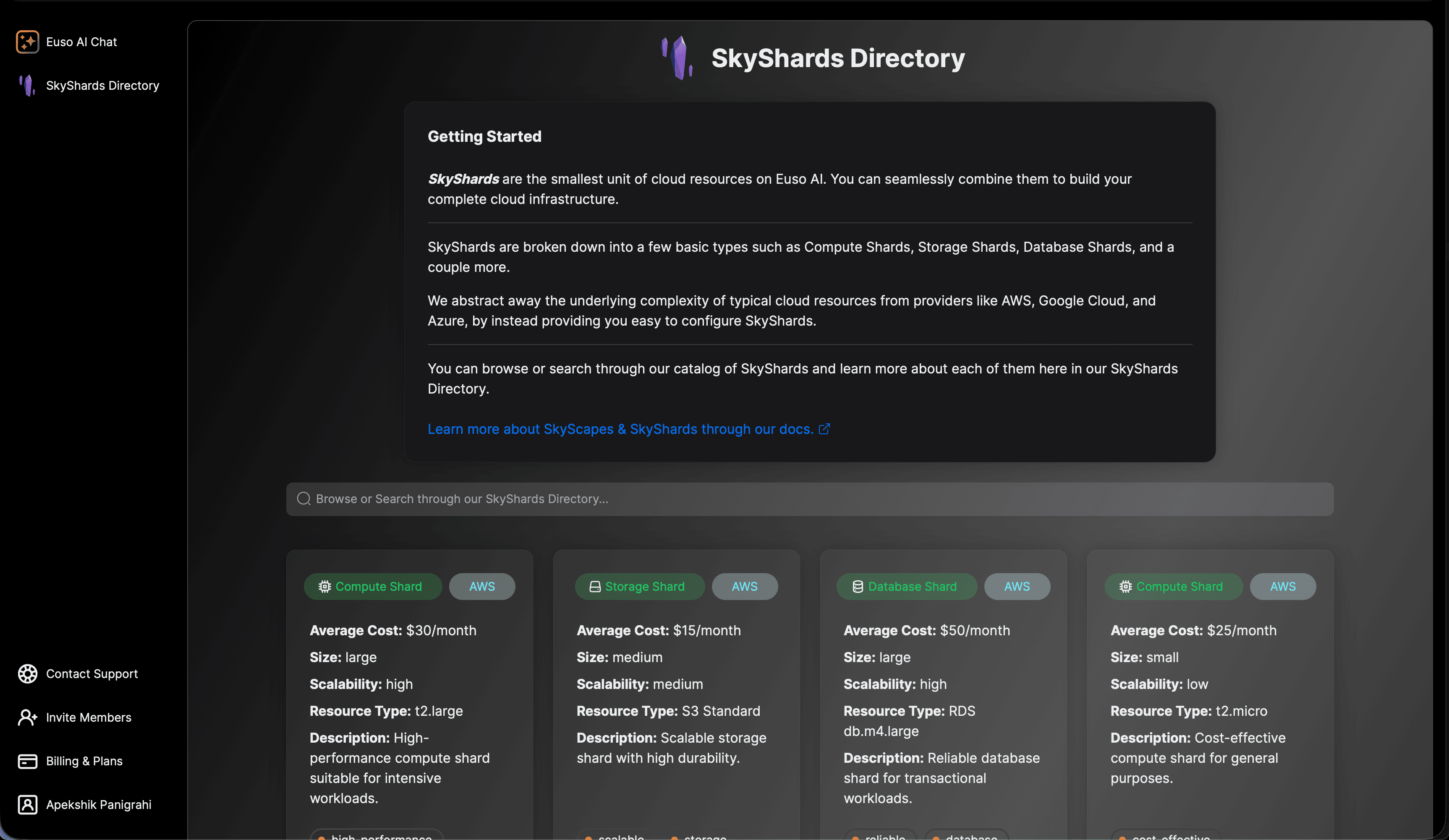 Euso AI Screenshot 2